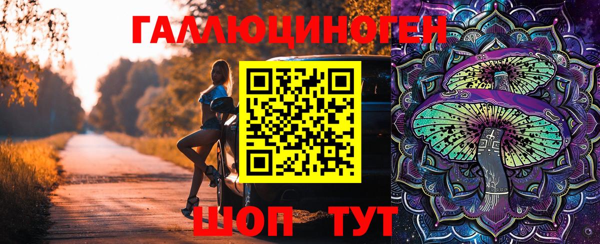 Элиста  Псилоцибиновые грибы GOLDEN TEACHER  Вход с VPN 