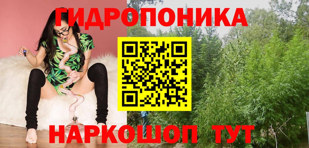 Бошки марихуана VHQ  Вход с VPN  МАРИХУАНА план  Элиста  Марихуана THC 21% 